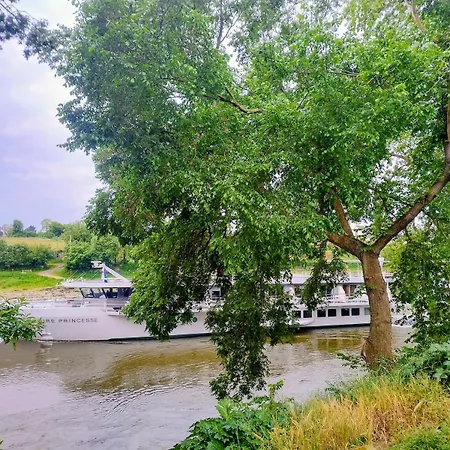 Le De L'ile Du Buzet Semesterbostad *