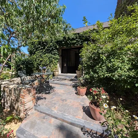 Le De L'ile Du Buzet * Saint-Florent-le-Vieil