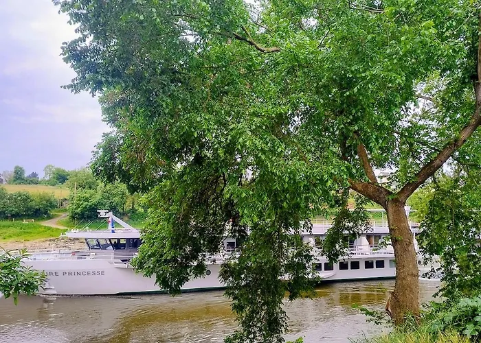 Le De L'ile Du Buzet Ferienhaus *