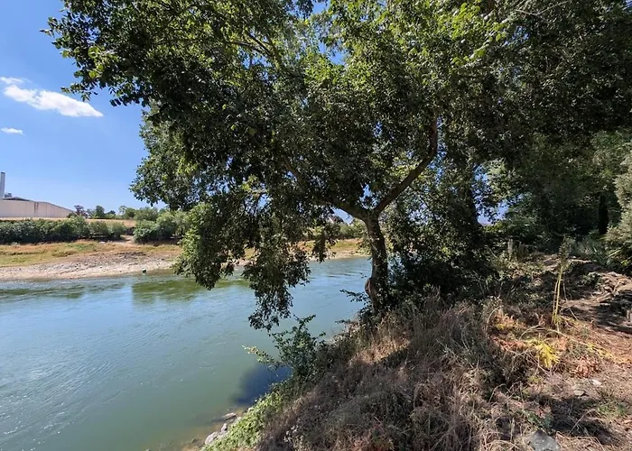 Ferienhaus Le De L'ile Du Buzet