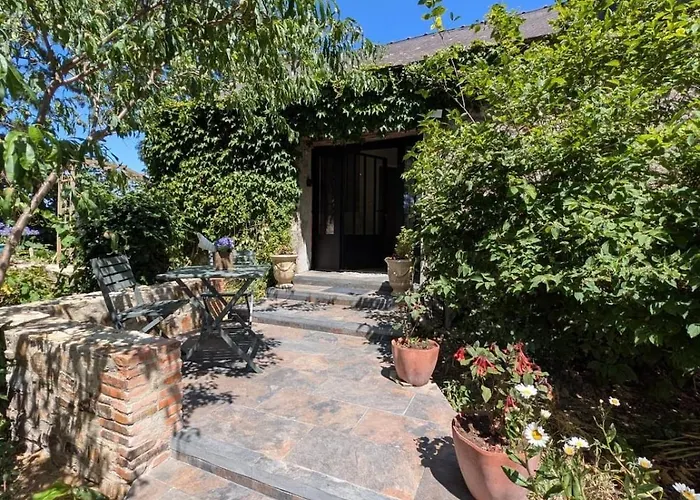 Le De L'ile Du Buzet * Saint-Florent-le-Vieil